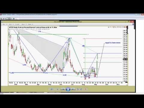 Trade What You See with Larry Pesavento on TFNN -  September 13, 2016