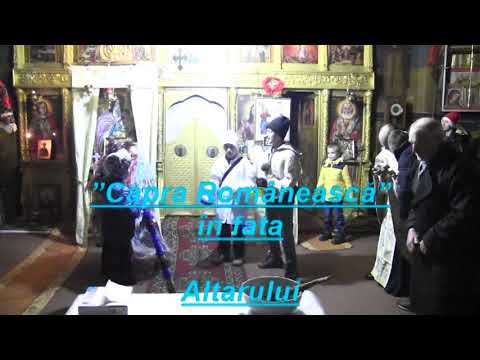 Capra in Biserica Hilita - 31 XII 2018