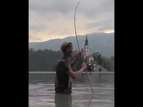 The best fishing film ever produced! Alan Blair at Lake Bled!