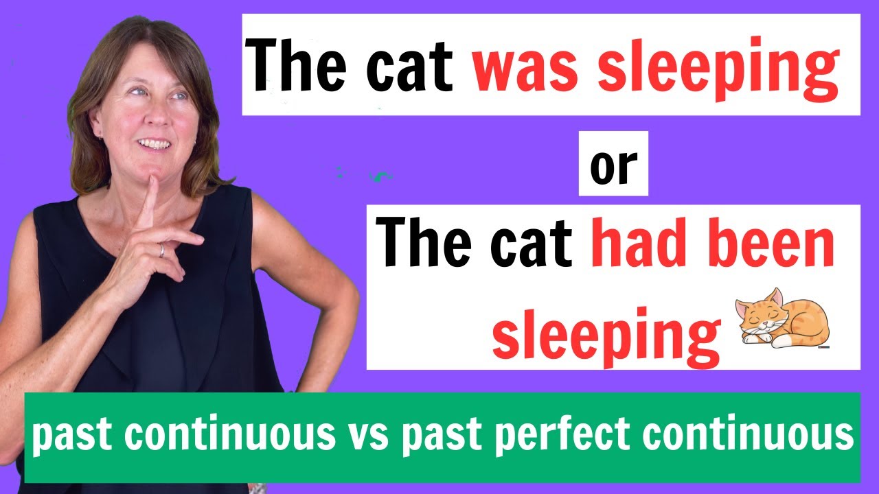 What is the difference between the PAST CONTINUOUS and the PAST PERFECT CONTINUOUS?