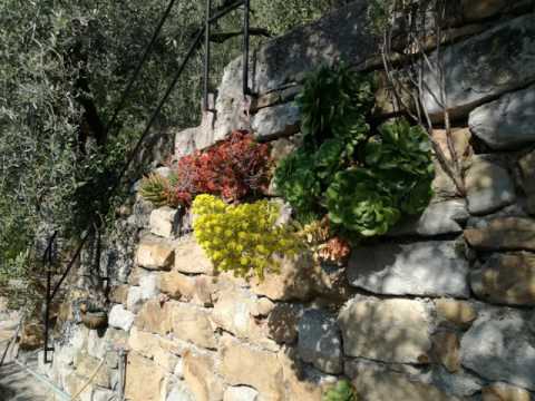 Emilia Holiday Home - Camporosso - Italy