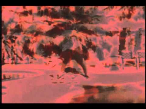 No sé nada - Rodrigo Leão y Daniel Melingo