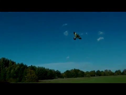 Günther's Steinadler # 1146