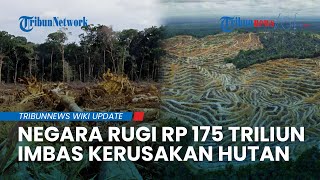 KPK Blak-blakan Ungkap Kerusakan Hutan Capai 608 Ribu Hektare, Total Kerugian Negara Rp 175 Triliun
