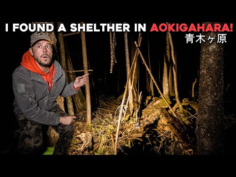 (WARNING) I Found a Makeshift Shelter in Japan's HAUNTED FOREST (Aokigahara 青木ヶ原)