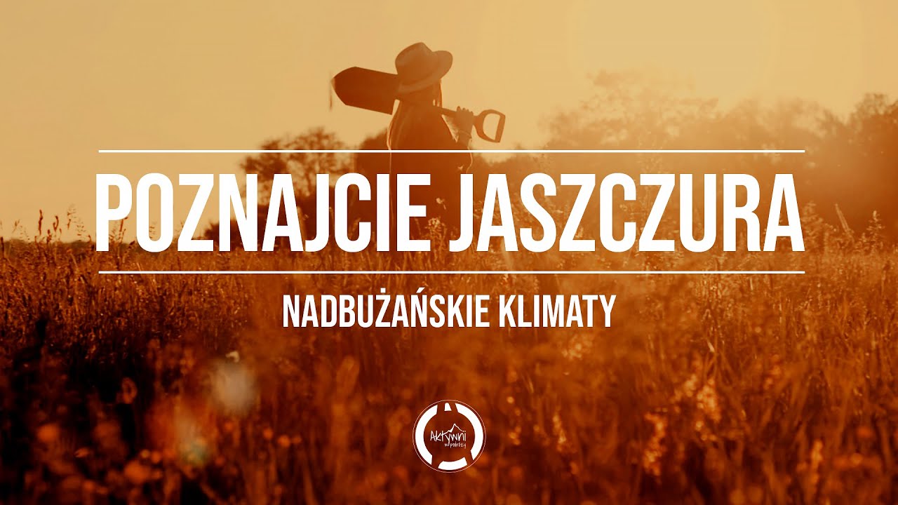 Jeep - poznajcie jaszczura