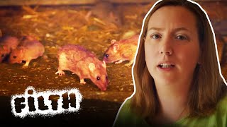 The Worst Rat Infestation Pest Control Have Seen | Pest Detectives | Episode 3 | Filth