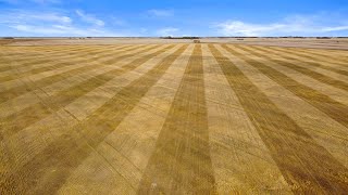 HART FARMLAND - 2,954.55 Acres - Cupar, SK Area - RM 218