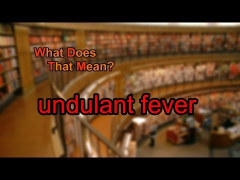 What does undulant fever mean?