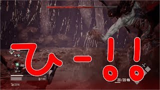 ダクソ、ゴットイーターどっちもまともにやってない奴のCODE VEIN【Past5】