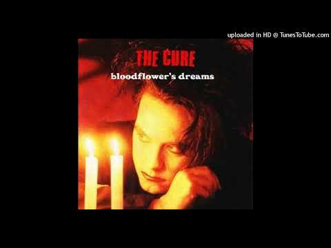 the cure - love will tear us apart (live)(Municipal Master)