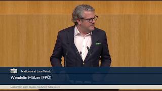 Wendelin Mölzer - Kulturelles Erbe deutschsprachiger Minderheiten im Ausland bewahren - 25.2.2026