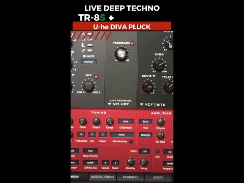 Live Techno + U-he Diva Pluck + TR-8S 🔥🔥 #shorts