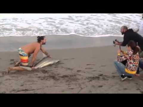 Un homme tire un requin hors de l'eau pour prendre un selfie avec lui