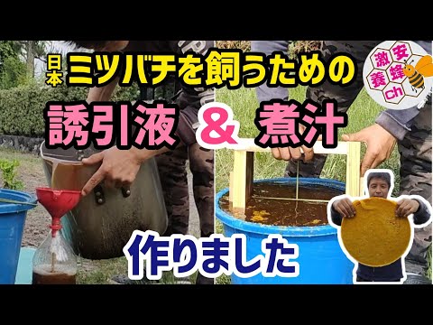 カフェインはミツバチを誘惑する