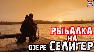 Рыбалка в начале июня на селигере