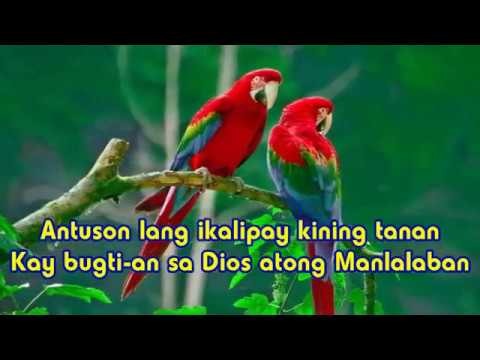 Antuson Lang Lyrics | D' Messengers