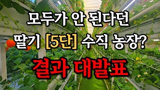 딸기를 수직으로 5단 재배가 가능하다고??