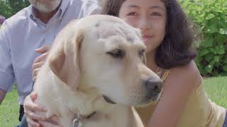 Jula's Story
