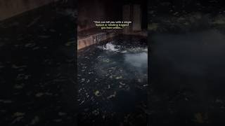 The difference between still and stagnant water…