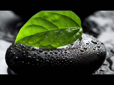 Dinka feat. Lizzie Curious - Green Leaf (Extended Vocal Mix) [2009 / Unreleased Digital] [HD]