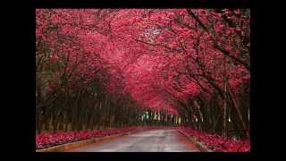 Download lagu Talib al Habib Collection - Tasbih Nasheed - Songs of Innocence Album mp3