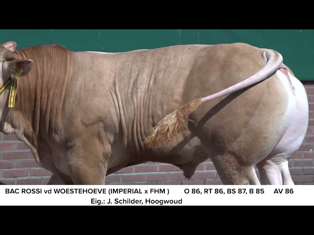 BAC Rossi vd WH video COT