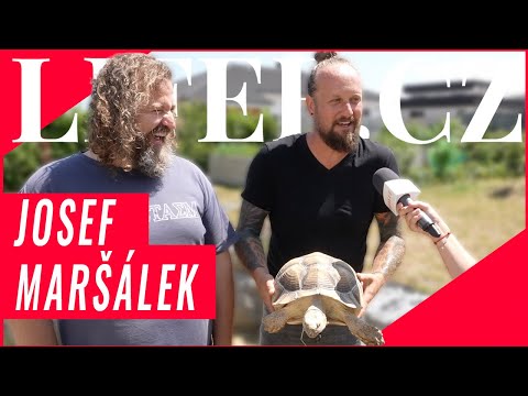 Josef Maršálek s partnerem chová čtyři želvy: V létě si hoví u bazénu, v zimě dělají hluk v obýváku