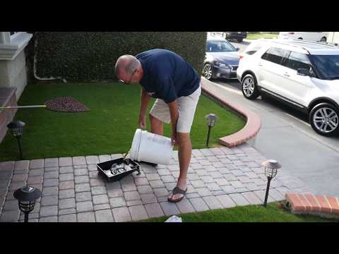 Bio Strip - Removing Old Sealer - Step 1/4
