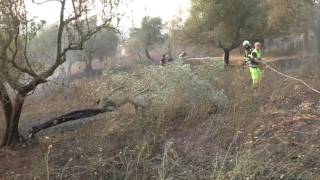 fiamme-nelle-campagne-di-ariano