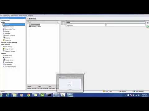 07. Informatica MDM 10 - BO Staging and Landing Table Configuration