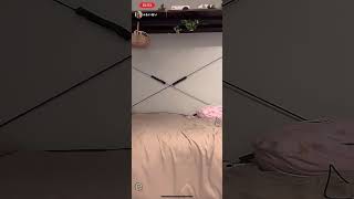 パンチラ　黒