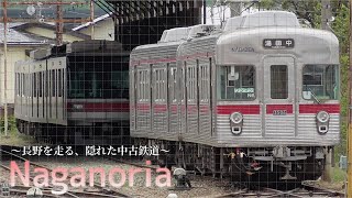 Naganoria
