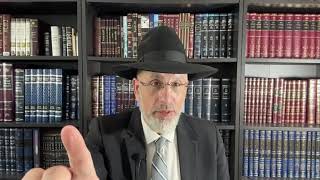 Tous les plaisirs du monde sont dans la Torah (or Ahaim)Refoua chelema pour Shimon Avraham ben Nouna