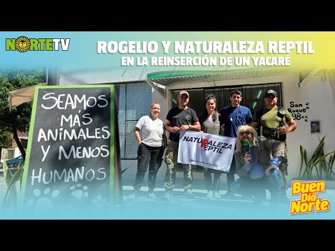 La misión para devolver animales a la naturaleza en Puerto Tirol | Buen Día Norte