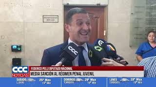 FEDERICO PELLI DIPUTADO NACIONAL