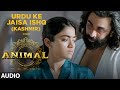 ANIMAL Urdu Ke Jaisa Ishq Kashmir Ranbir Kapoor Rashmika Anil K Bobby D Sandeep V Manan Bhardwaj