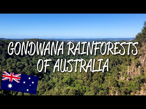 Gondwana Rainforests of Australia - UNESCO World Heritage Site