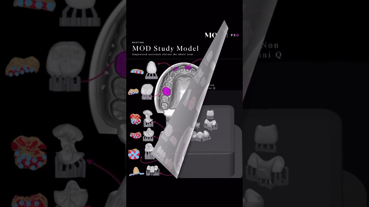 Download the MOD Study Model and companion guide! https://tinyurl.com/5hna339k