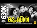 കുടുംബിനി Kudumbini Prem Nazir Sheela Thikkurissi Meena Malayalam Black White Full