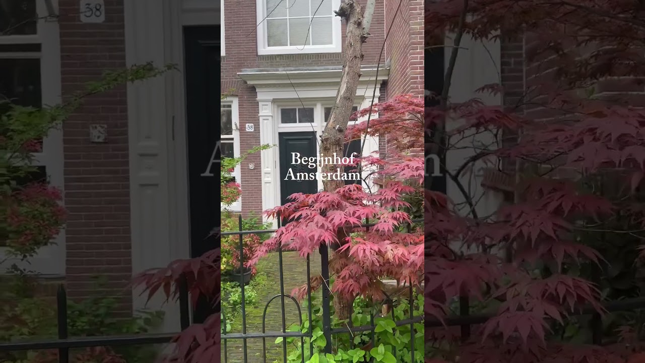 YouTube Short thumbnail