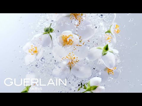 Kvapusis vanduo Guerlain Mon Guerlain Sparkling Bouquet EDP 30ml video