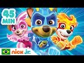 Patrulha Canina Os Resgates Mais Corajosos Dos Superfilhotes Nick Jr Em Português