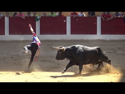 Íscar 2022 Encierro y Capea