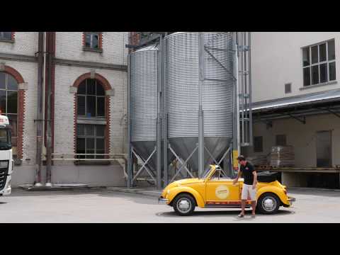 Bierzahl! 2019 Käfer   Spielzeug