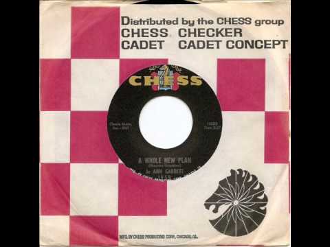 JO ANN GARRETT - A Whole New Plan