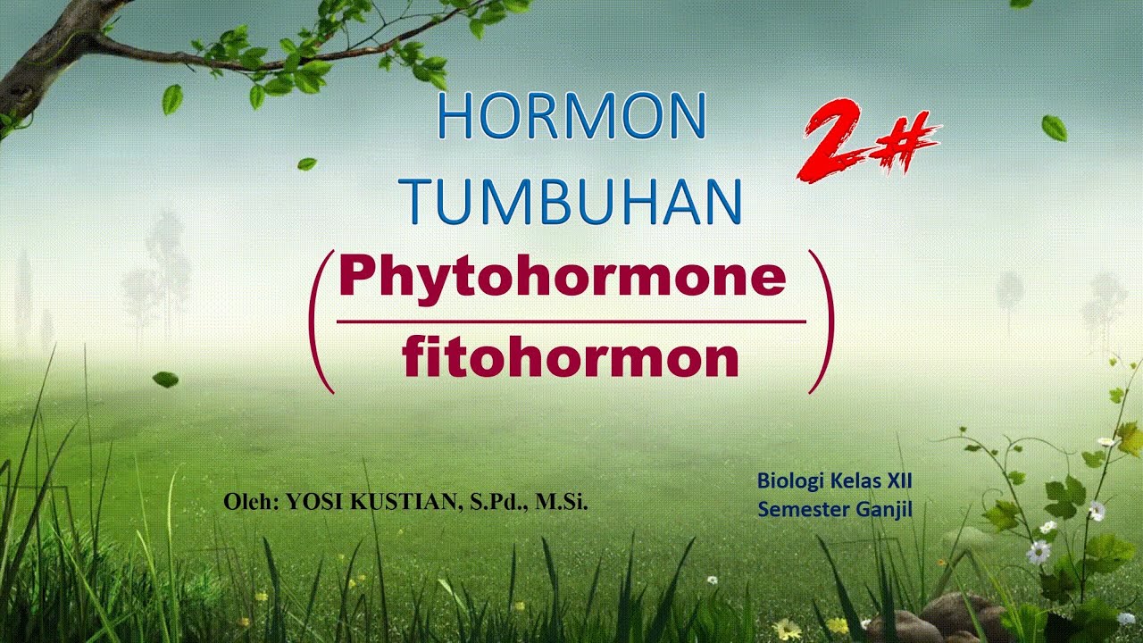 Hormon Tumbuhan: Giberelin, Sitokinin, Gas Etilen, Asam absisat ,dan Kalin
