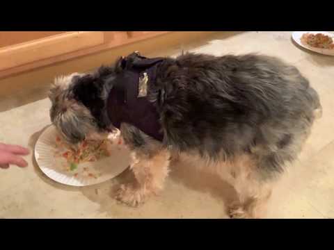 How I cook chicken thighs and frozen veggies for my...
