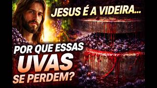 Jesus é a videira… então por que essas uvas se perdem?