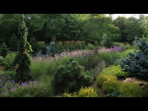 Mountain Meadow Garden Tour and Interview | Built Over Septic Field! | Full-Sun